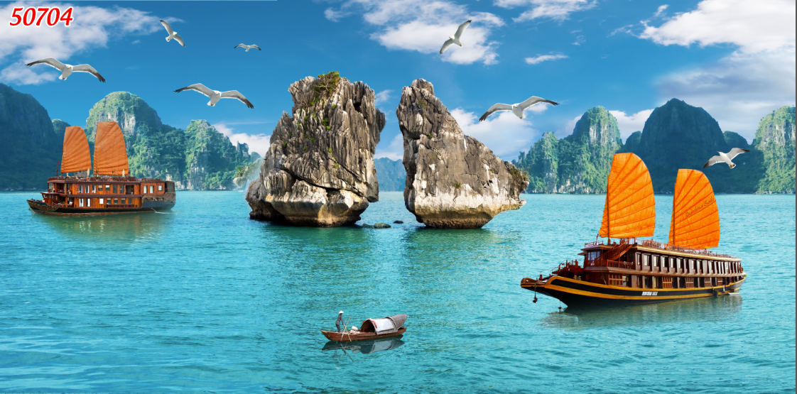 mau-tranh-canvas-vinh-ha-long-50704