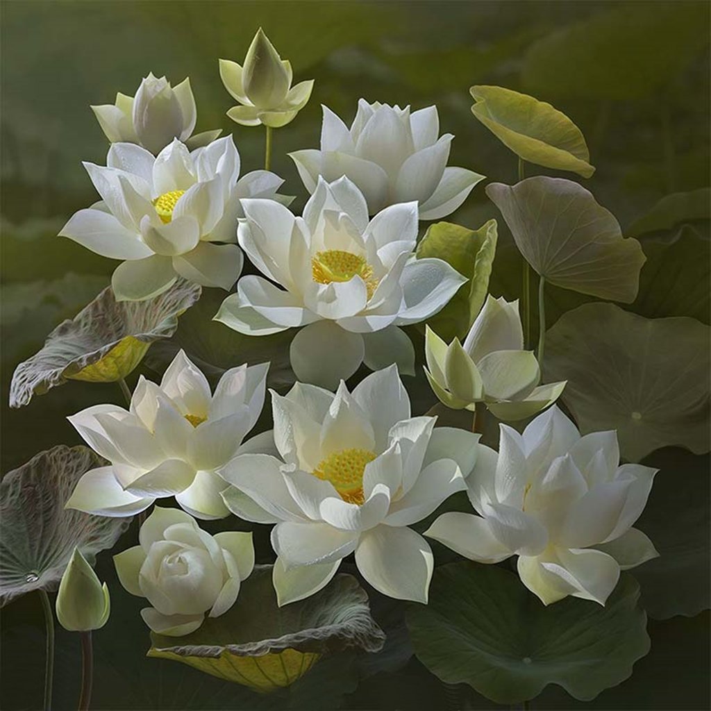 mau-tranh-canvas-hoa-sen-131