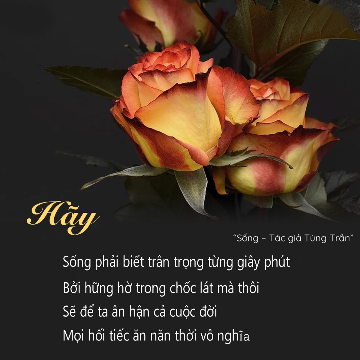 mau-tranh-canvas-tranh-dong-luc-tranh-slogan-22006