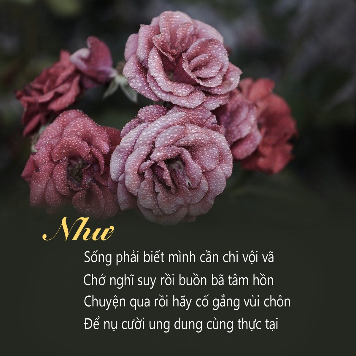 tranh-dong-luc-tranh-slogan