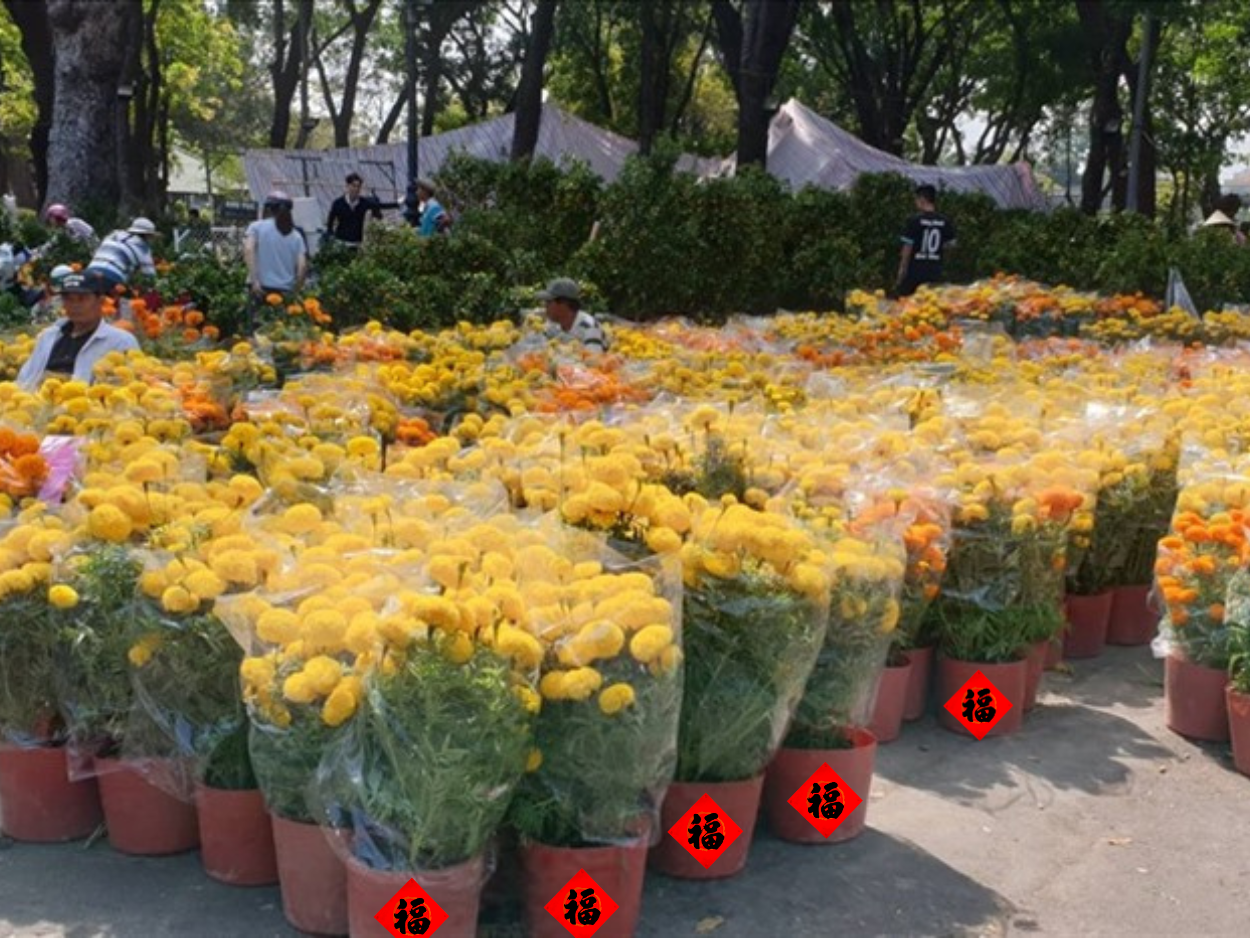 hoa-tuoi-duoc-ua-chuong-trong-nhung-ngay-tet-2024