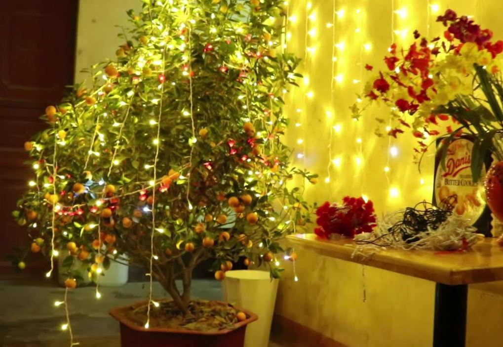 trang-tri-den-led-cho-cay-bonsai-ngay-tet