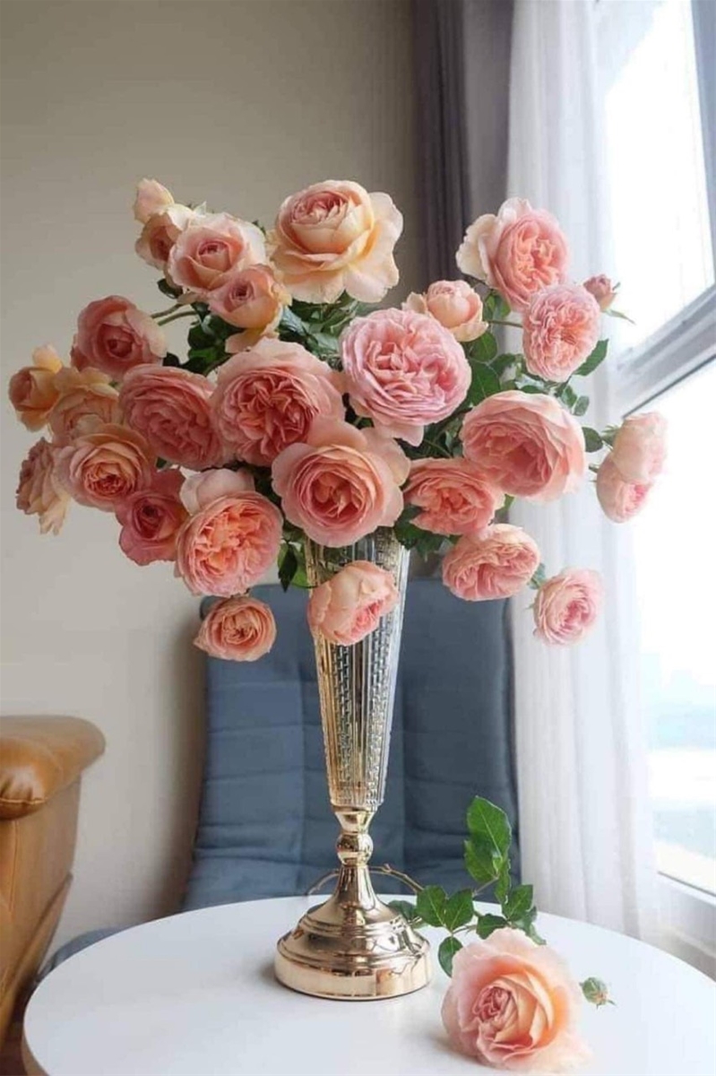 decor-binh-thuy-tinh-de-dong-cao-cap-012