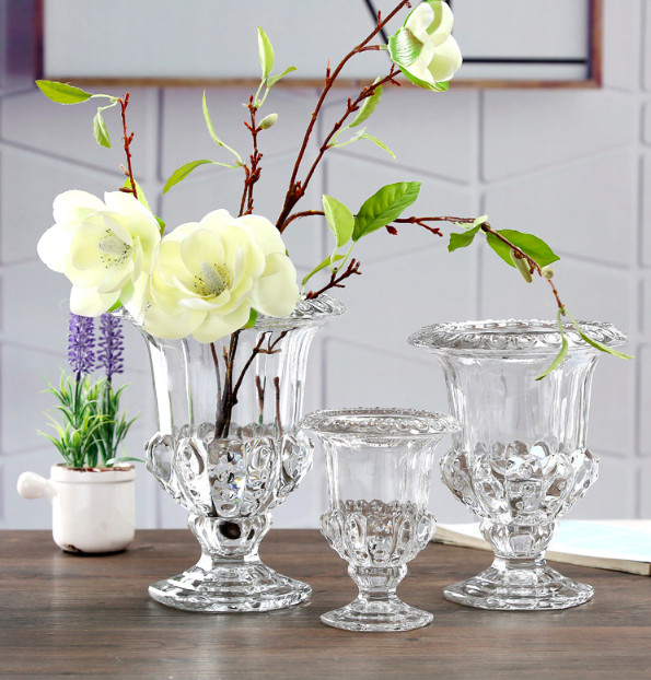 binh-thuy-tinh-decor-trong-thuy-sinh